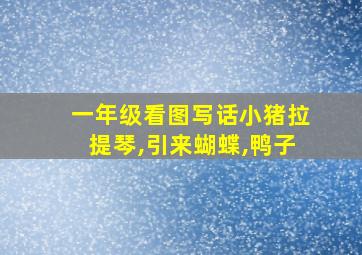 一年级看图写话小猪拉提琴,引来蝴蝶,鸭子