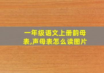 一年级语文上册韵母表,声母表怎么读图片