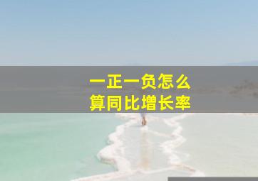 一正一负怎么算同比增长率