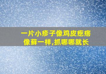 一片小疹子像鸡皮疙瘩像藓一样,抓哪哪就长