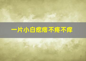 一片小白疙瘩不疼不痒