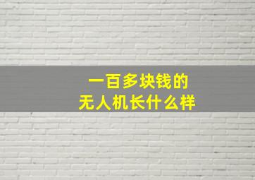 一百多块钱的无人机长什么样