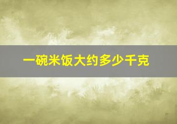 一碗米饭大约多少千克