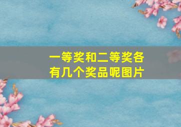 一等奖和二等奖各有几个奖品呢图片