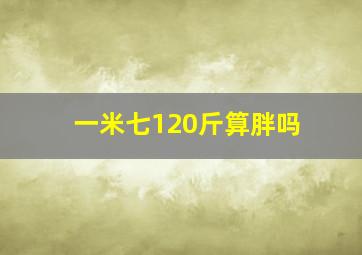 一米七120斤算胖吗