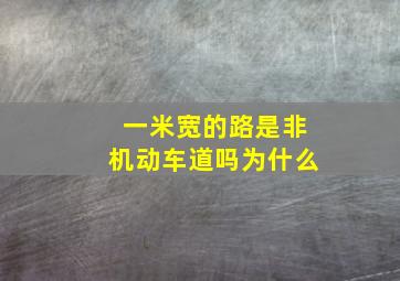 一米宽的路是非机动车道吗为什么