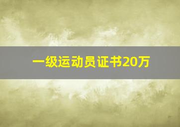 一级运动员证书20万