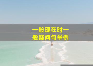 一般现在时一般疑问句举例