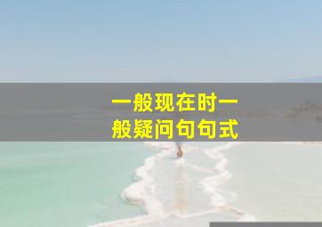 一般现在时一般疑问句句式