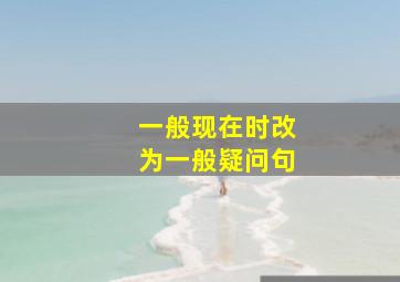 一般现在时改为一般疑问句