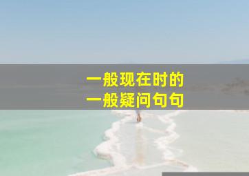 一般现在时的一般疑问句句