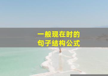 一般现在时的句子结构公式