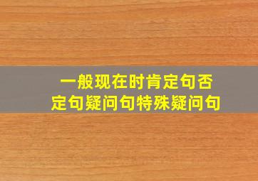 一般现在时肯定句否定句疑问句特殊疑问句