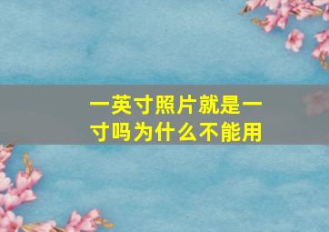 一英寸照片就是一寸吗为什么不能用