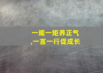 一规一矩养正气,一言一行促成长