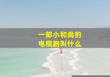 一部小和尚的电视剧叫什么