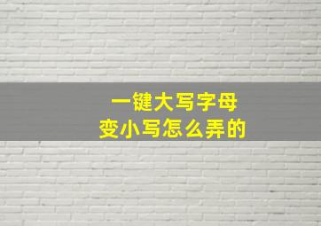 一键大写字母变小写怎么弄的