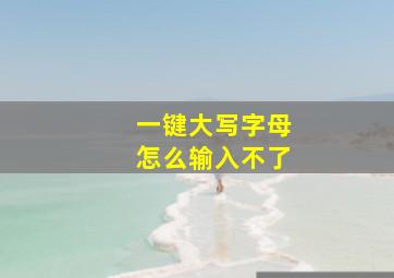 一键大写字母怎么输入不了