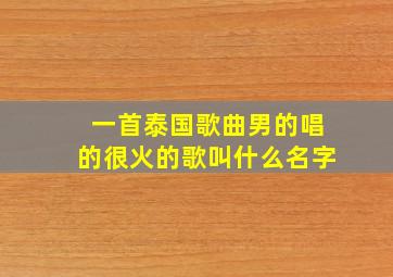 一首泰国歌曲男的唱的很火的歌叫什么名字