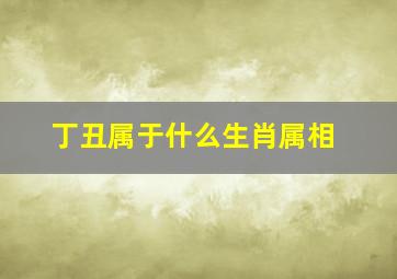 丁丑属于什么生肖属相