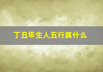 丁丑年生人五行属什么