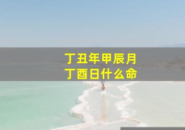 丁丑年甲辰月丁酉日什么命