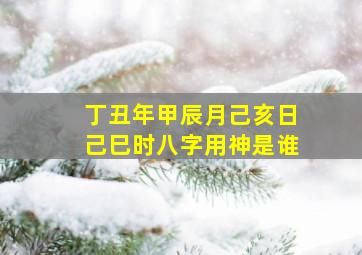 丁丑年甲辰月己亥日己巳时八字用神是谁