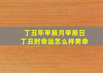 丁丑年甲辰月甲辰日丁丑时命运怎么样男命