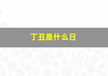 丁丑是什么日