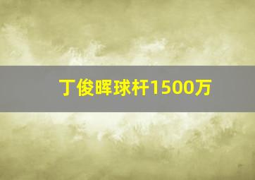 丁俊晖球杆1500万