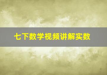 七下数学视频讲解实数