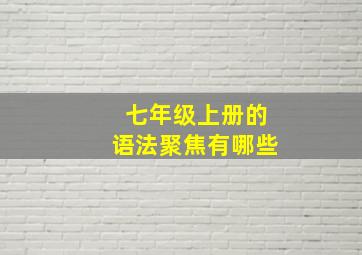 七年级上册的语法聚焦有哪些