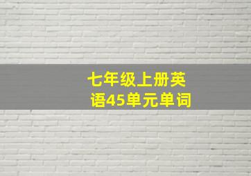 七年级上册英语45单元单词