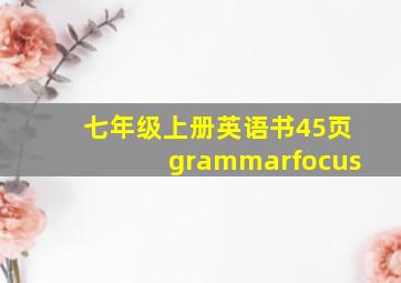 七年级上册英语书45页grammarfocus