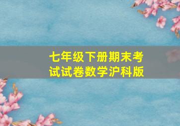 七年级下册期末考试试卷数学沪科版