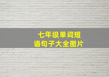 七年级单词短语句子大全图片