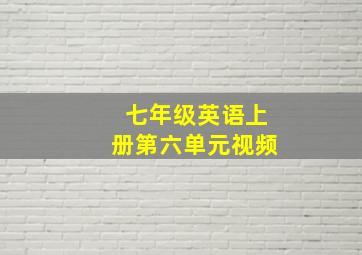 七年级英语上册第六单元视频