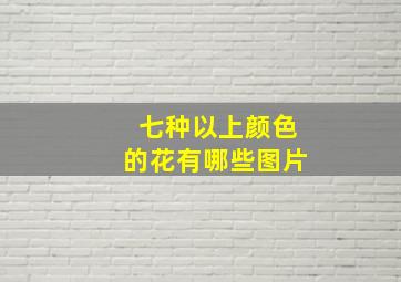 七种以上颜色的花有哪些图片