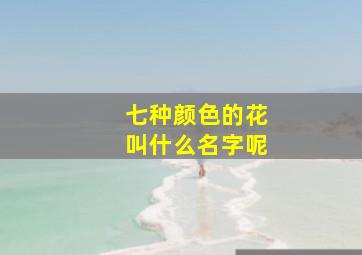 七种颜色的花叫什么名字呢