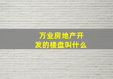 万业房地产开发的楼盘叫什么