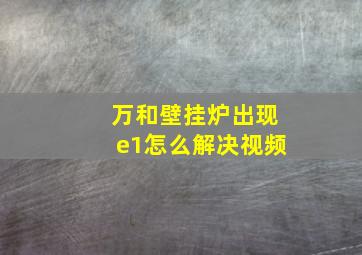 万和壁挂炉出现e1怎么解决视频