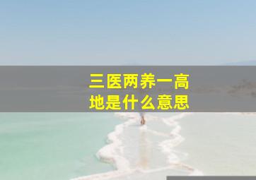 三医两养一高地是什么意思