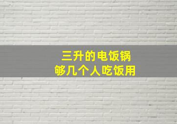 三升的电饭锅够几个人吃饭用