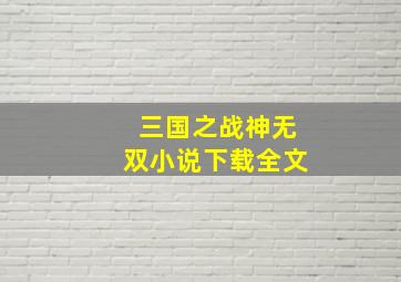 三国之战神无双小说下载全文