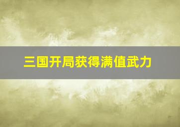 三国开局获得满值武力