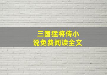 三国猛将传小说免费阅读全文