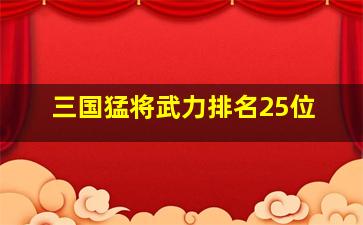 三国猛将武力排名25位