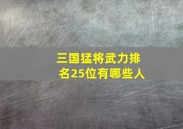 三国猛将武力排名25位有哪些人