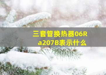 三套管换热器06Ra207B表示什么