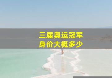 三届奥运冠军身价大概多少